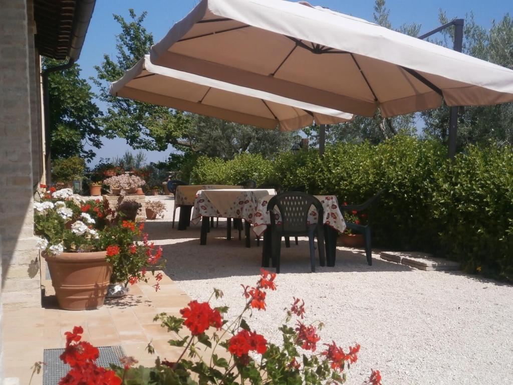 Tenuta Colverano Montefalco Exterior foto