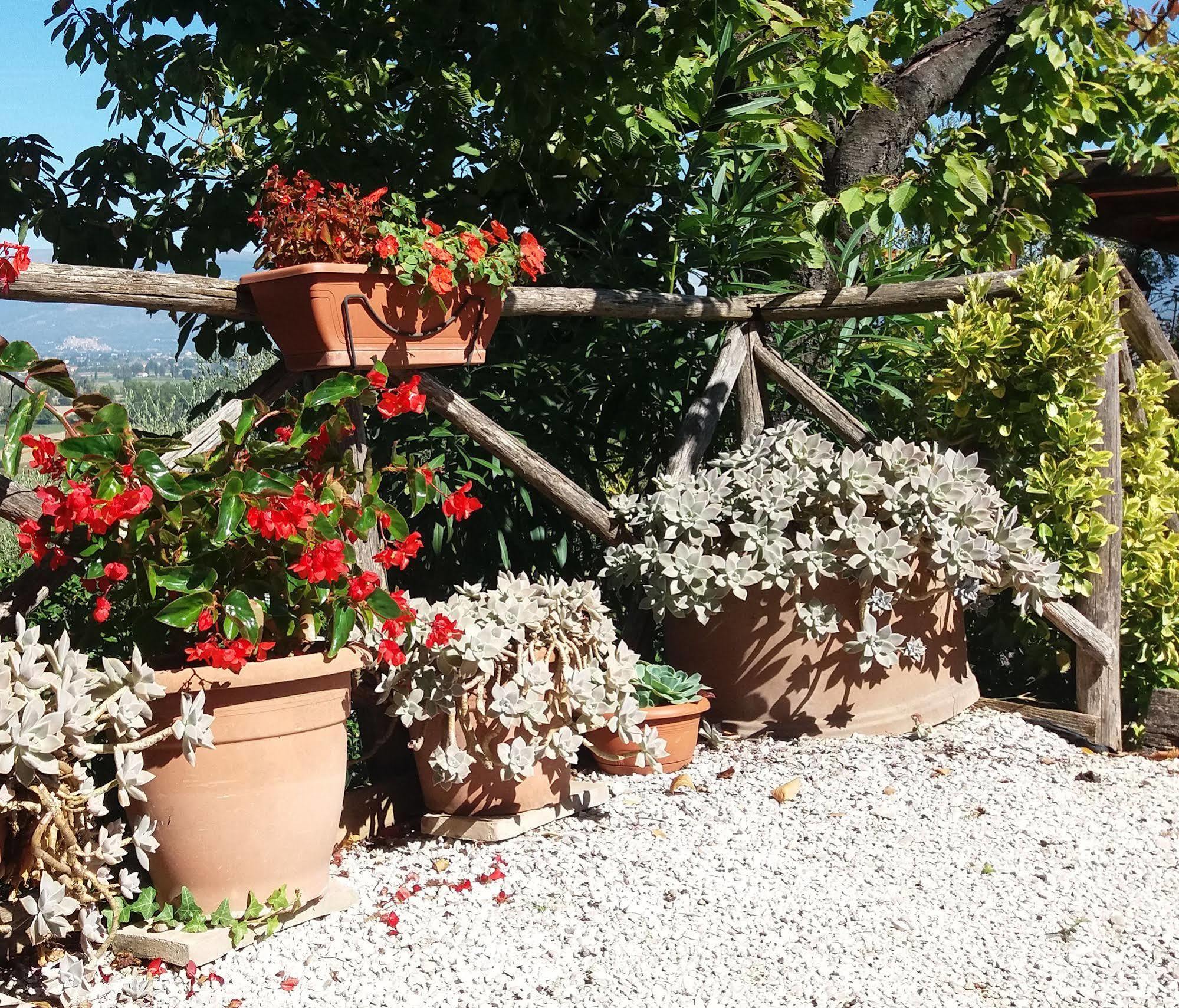 Tenuta Colverano Montefalco Exterior foto