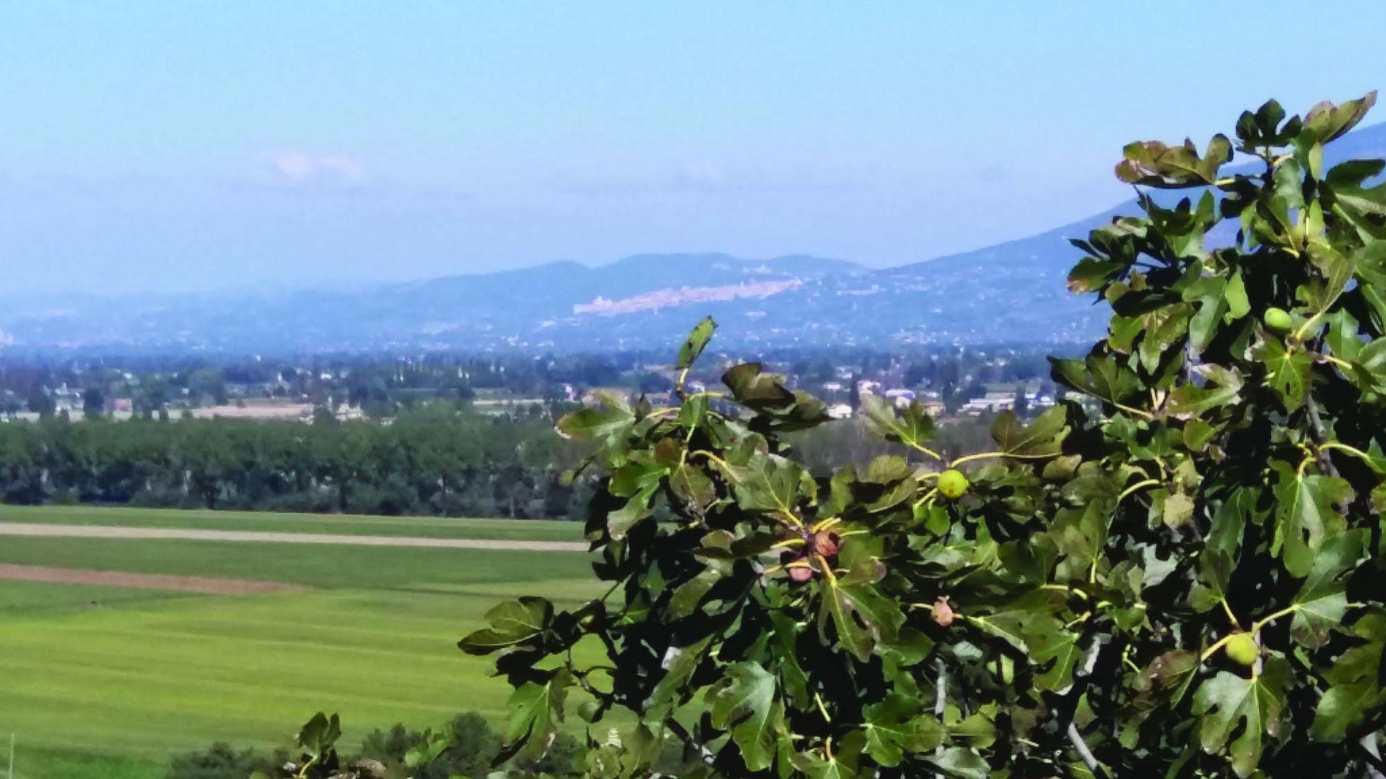 Tenuta Colverano Montefalco Exterior foto